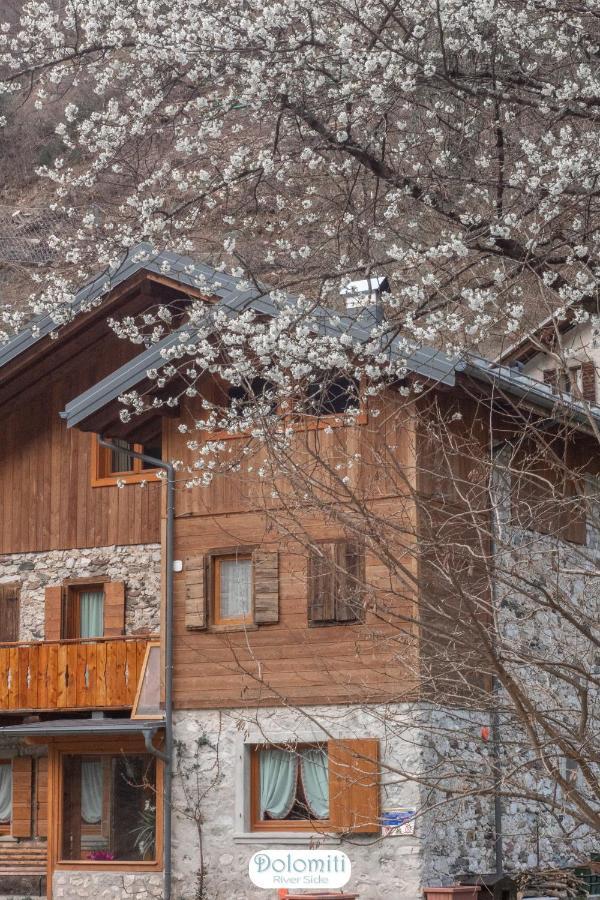 Dolomiti Riverside Perarolo di Cadore Екстериор снимка